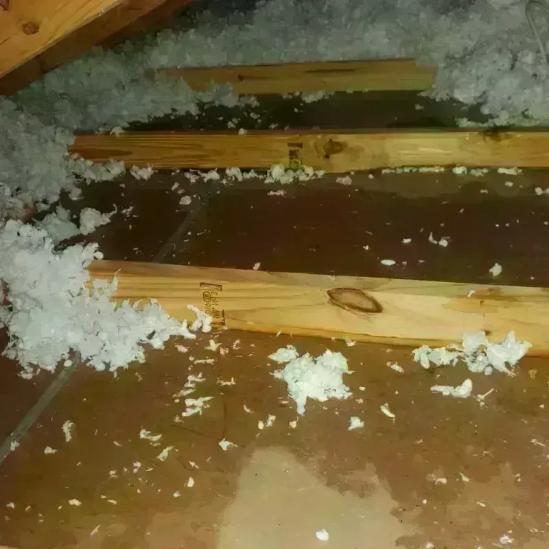 Attic Water Damage in Gordonsville, VA